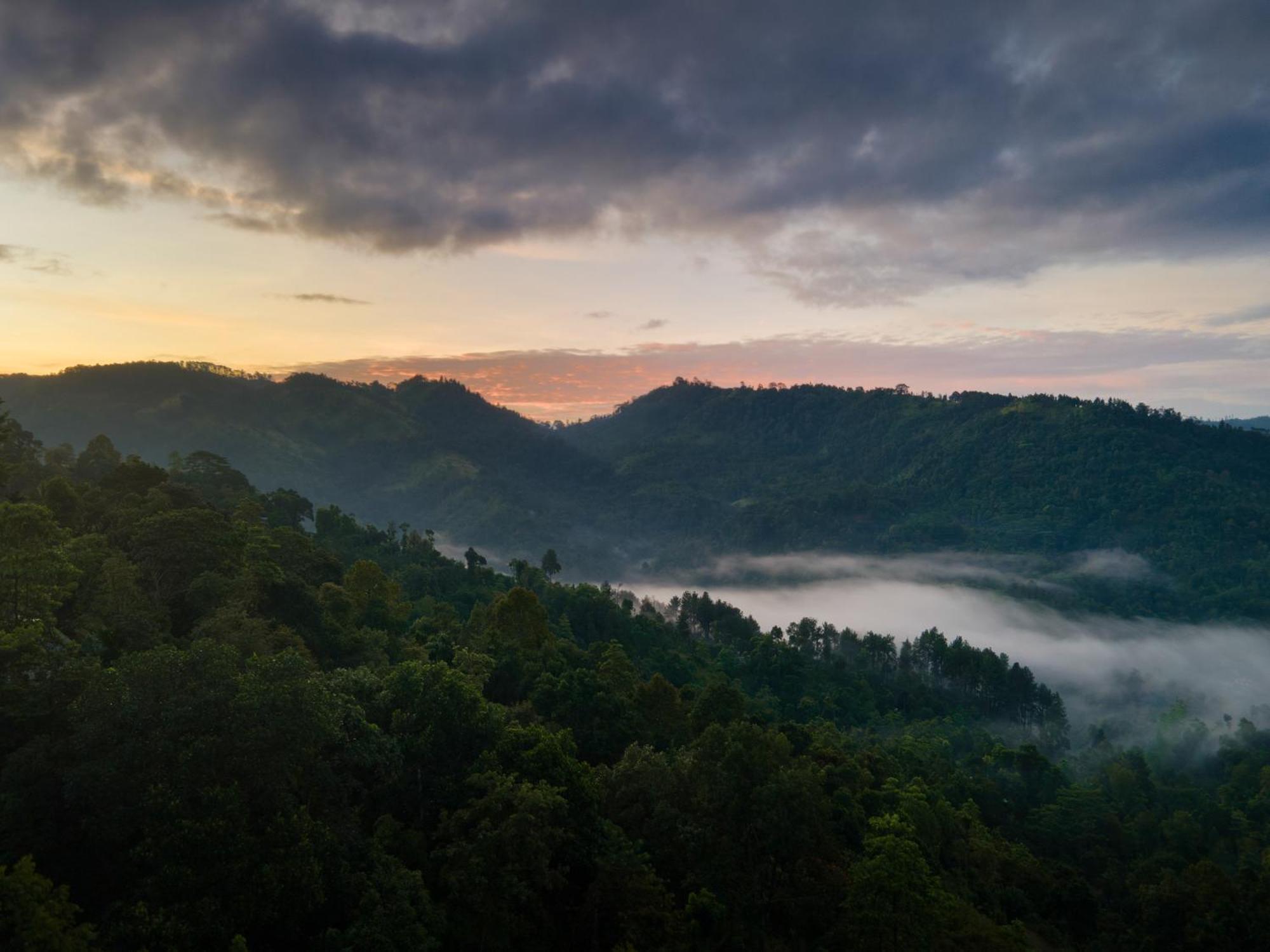Mount Havana Kandy Luaran gambar
